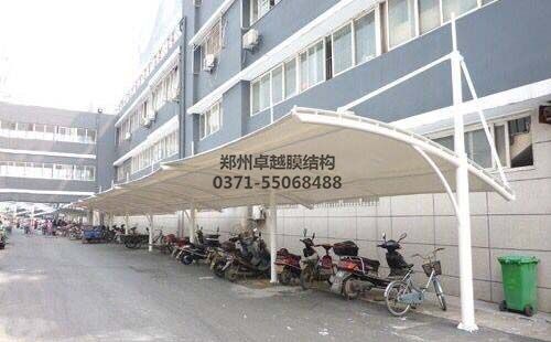 濮陽電業局午夜看黄片